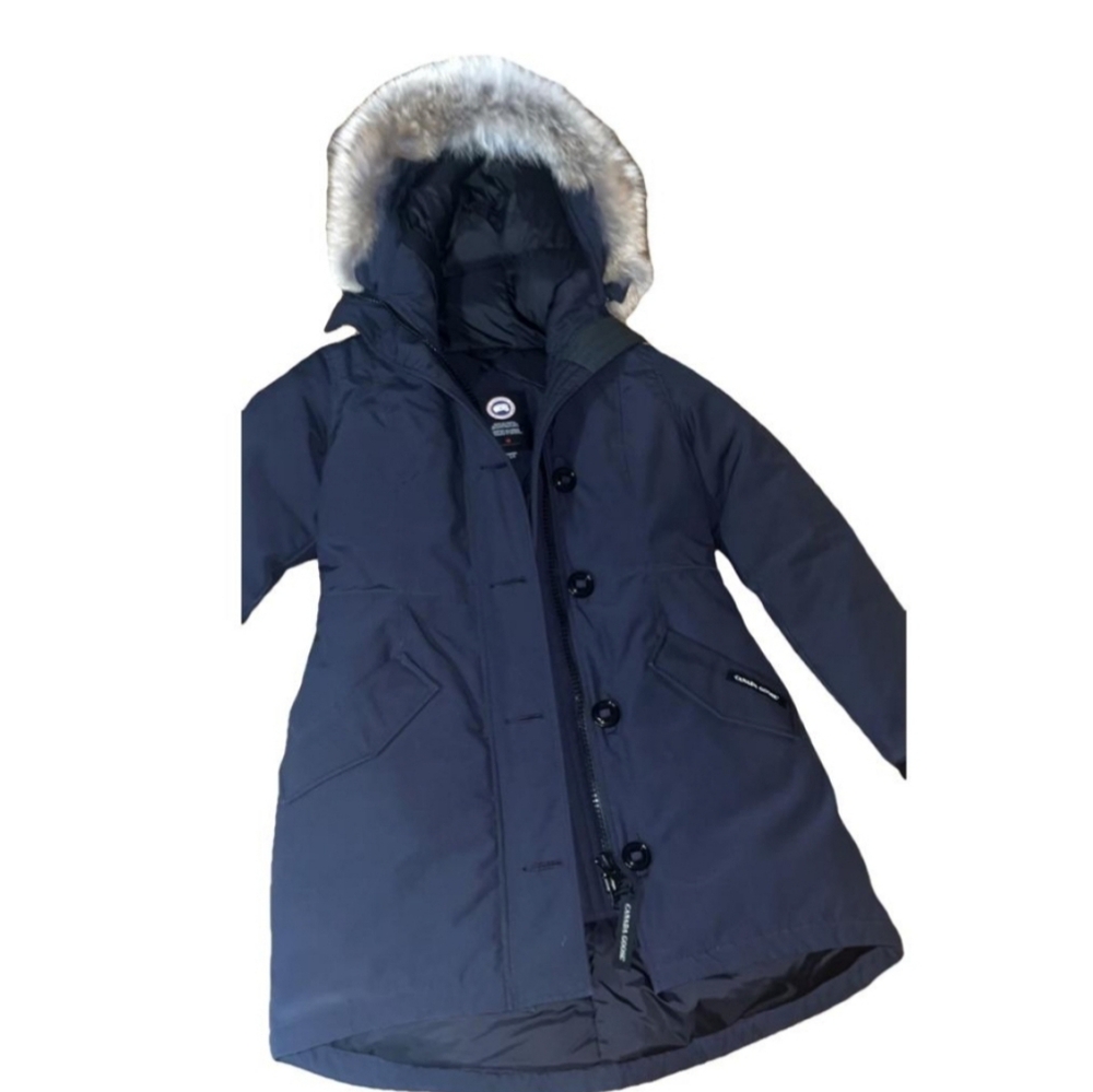 COPY - Canada goose